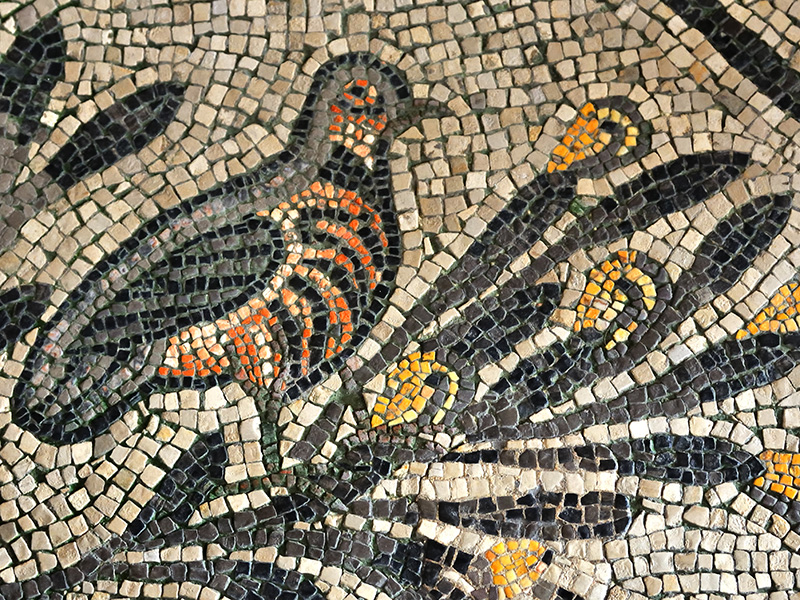 Photo:  particolare_mosaico_foro_romano_matteo_lavazza